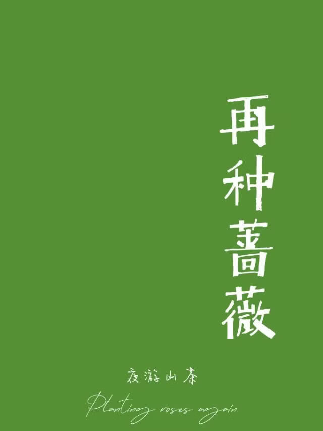 再种蔷薇［娱乐圈］