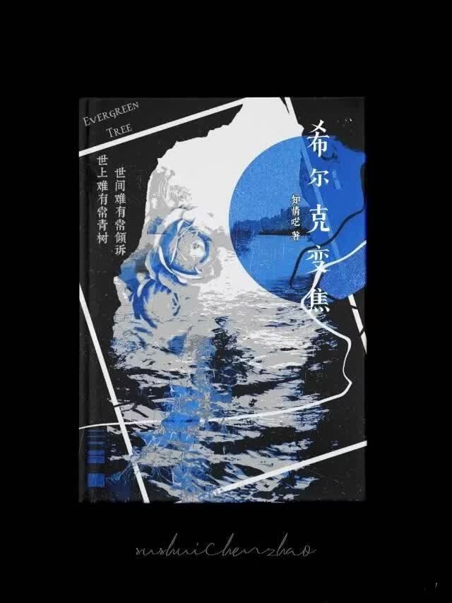 希尔克变焦