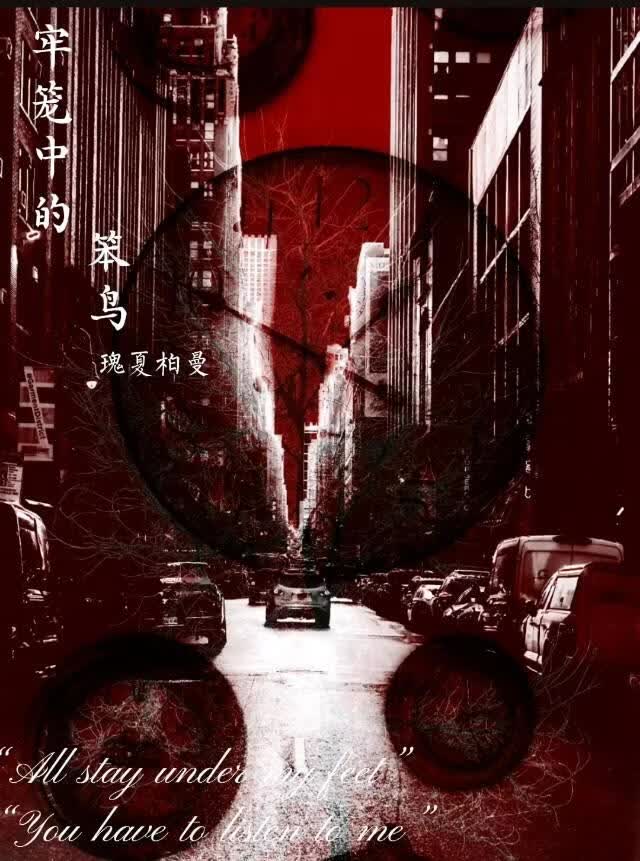 牢笼中的笨鸟