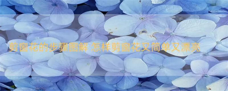 剪窗花的步骤图解 怎样剪窗花又简单又漂亮