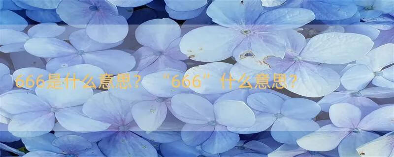 666是什么意思？ “666”什么意思？