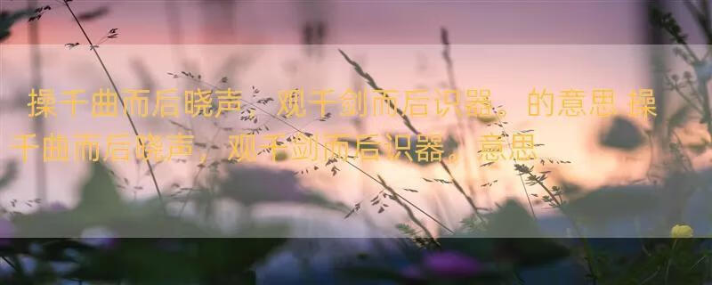 操千曲而后晓声，观千剑而后识器。的意思 操千曲而后晓声，观千剑而后识器。意思