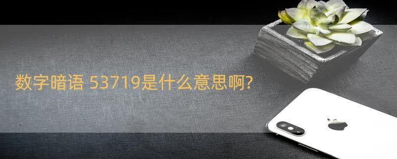 数字暗语 53719是什么意思啊?