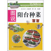 

图说阳台种菜