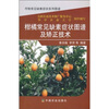 

柑橘常见缺素症状图谱及矫正技术