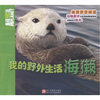 

我的野外生活：海獭