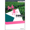 

油茶良种繁育