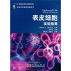 

表皮细胞实验指南