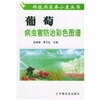 

葡萄病虫害防治彩色图谱