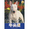 

牛头（犭更）：长相滑稽的勇敢小子