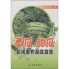 

西瓜甜瓜轮间套作高效栽培
