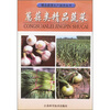 

葱蒜类精品蔬菜