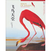 

飞鸟天堂
