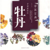 

中国画技法：牡丹