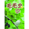 

毛毛虫与蚕