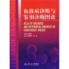 

血液病诊断与鉴别诊断图谱
