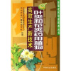 

叶类和花类药用植物高效生产新技术