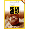 

基础绘画色彩全程训练：初识色彩