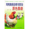 

鸡鸭鹅病诊断与防治原色图谱