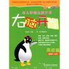 

幼儿学前全脑开发：右脑开发（高级篇）（适合5-6岁）