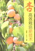 

杏高效栽培新技术