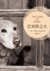 

巴别塔之犬（2013年版）