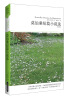 

世界文学文库017：莫泊桑短篇小说选（插图全译本）