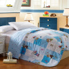 

SHENGWEI summer ventilate cotton quilt