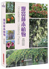 

观赏藤本植物