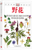 

自然珍藏图鉴丛书野花