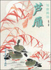 

芦雁写意画法
