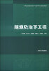 

隧道及地下工程/高等院校道路桥梁与渡河专业精品教材