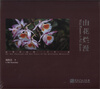 

山花烂漫