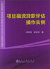 

项目融资贷款评估操作实例