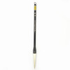 

Wu Jingsheng with Xiang brush