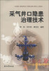 

采气井口隐患治理技术