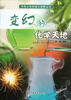 

中华少年科普大视野丛书变幻的化学天地