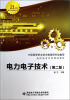 

电力电子技术（第二版）/21世纪高级应用型人才·高职高专系列规划教材