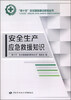 

“绿十字”安全基础建设新知丛书安全生产应急救援知识