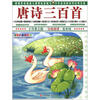 

小作家之路·分级阅读·低年级：唐诗三百首（注音彩色图文版）