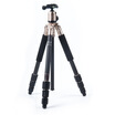 

Fotopro C-4C G Carbon Professional Tripod Gold