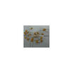 50Pcs Monolithic Capacitors 105 1Uf huismerk kopen in de aanbieding