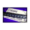 100Pcs Ic Bcx53 16 Sot89 Making Al P11 New Free Shipping Ic huismerk kopen in de aanbieding