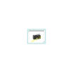 10Pcslot Tact Switch Kw11 3Z 5A 250V Microswitch 3Pin Good Qualtityhot Sell Free Shippingbuy It Direct huismerk kopen in de aanbieding 10Pcslot Tact Switch Kw11 3Z 5A 250V Microswitch 3Pin Good Qualtityhot Sell Free Shippingbuy It Direct huismerk kopen in de aanbieding
