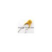 50Pcs Pptc Resettable Fuse Rxef020 72V 02A Xf020 200Ma Polyswitch huismerk kopen in de aanbieding 50Pcs Pptc Resettable Fuse Rxef020 72V 02A Xf020 200Ma Polyswitch huismerk kopen in de aanbieding