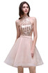 Babyonlinedress Short Prom Evening Dress Formal Party Bridesmaid Gown Homecoming Cocktail Dresses babyonlinedress kopen in de aanbieding Babyonlinedress Short Prom Evening Dress Formal Party Bridesmaid Gown Homecoming Cocktail Dresses babyonlinedress kopen in de aanbieding