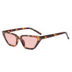 Shauna Fashion Small Cat Eye Sunglasses Women Rivet Clear Pink Lens Shades Uv400 shauna kopen in de aanbieding
