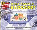 What Makes A Blizzard huismerk kopen in de aanbieding What Makes A Blizzard huismerk kopen in de aanbieding