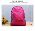 Giantex Folding Polyester Waterproof Backpack For Malesfemales Travel Zipper Shoulders Bag giantex kopen in de aanbieding Giantex Folding Polyester Waterproof Backpack For Malesfemales Travel Zipper Shoulders Bag giantex kopen in de aanbieding