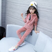 Yttoo Korean Version New Childrens Clothing Winter Baby Girl Sport Gold Velvet Hoodies Coat Pant Sets Kids Clothes Suits yttoo kopen in de aanbieding Yttoo Korean Version New Childrens Clothing Winter Baby Girl Sport Gold Velvet Hoodies Coat Pant Sets Kids Clothes Suits yttoo kopen in de aanbieding